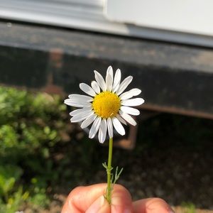 Meet your Posher, Donna